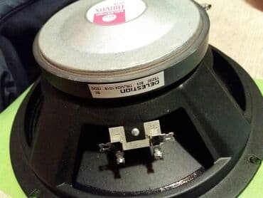 Foto i video kamere: Celestion 10 inca- England; kao nov; 1 komad; 8 oma, nepopravljan — 1