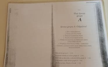 two and a half men s prevodom: Krvna grupa a — 1