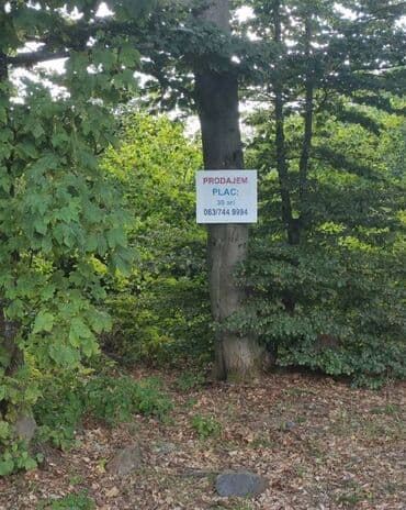 30 ares, Owner — 5