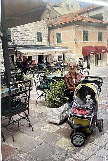 Building, Home & Removals: Briga i nega manjih kuca u kućnim uslovima bez kaveza i ogradica — 6