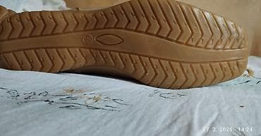 ccc cipele: Ženske cipele kožne cipele – bež br 39. - Brend: SAF-GER (etiketa — 10