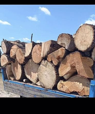 Ostali proizvodi za kuću: Ogrevno drvo – tvrda listopadna stabla u oblovini i krupno cepanim — 2