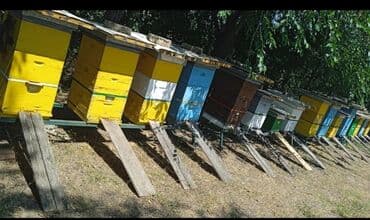 punjač za akumulator: Pčelinje košnice, dostupne u različitim bojama kao što su žuta, plava — 2