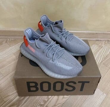Adidas, 45, bоја - Šareno — 2