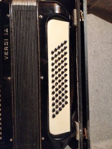 klavir za devojcice: Hohner VERDI IA harmonika - Tip: klavirska harmonika - Brend i model — 4