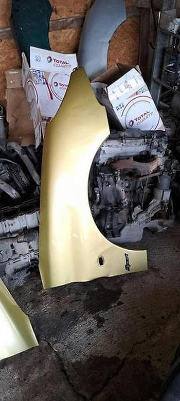 reno 5: DESNO KRILO ZLATNA BOJA ZA PEUGEOT 206 | imam sve delove za peugeot — 1