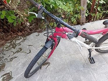 Dečiji bicikli: Dečiji/teen bicikl Galaxy Falcon 060 - Veličina točkova: 24" - — 2