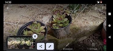 trotineti polovni: Električni trotinet MS Energy e10 - Marka/model: MS Energy e10 — 6