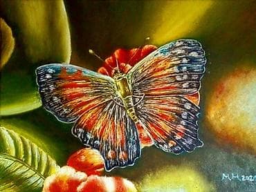 ramovi za slike 50x70: Slika, Novo — 10