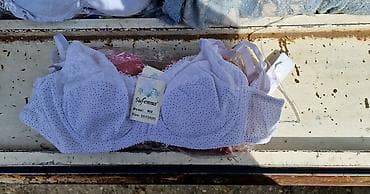 Ureznice: 1000🌵 — 2