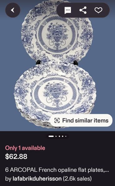 privesci za samoodbranu: Servis arkopal tanjira iz 80ih.god Francuska,za 6 osoba. Akopal — 2