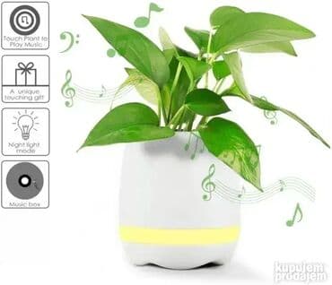 apple novi sad: *** AKCIJA *** #2290 SAKSIJA Bluetoth zvučnik Smart Music Flowerpot – — 13