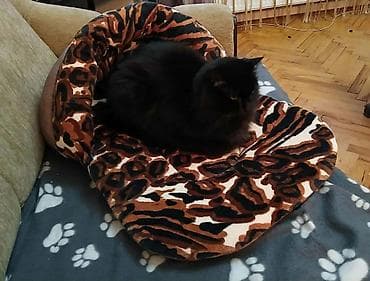 dozer za hranu za pse: Krevet papuča za kućne ljubimce sa naslonkm.Namenjena za mačke i male — 4