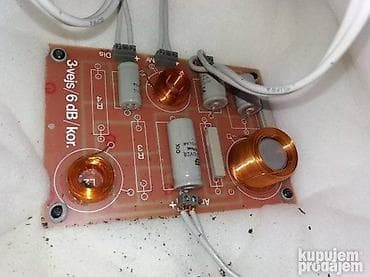 kompjuterski delovi: Peerless 8" Denmark- delovi -basovi 8 inca; 8 oma; platnene kalote=50e — 5