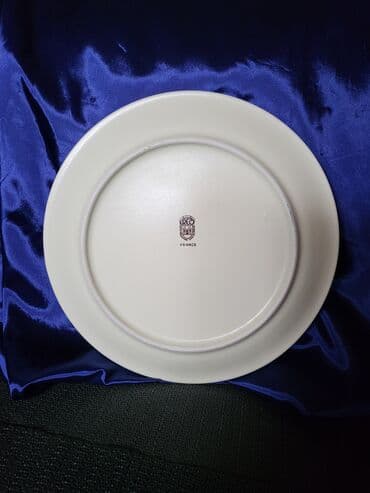 cinija za voce: Tanjir nov iz 70ih.god.dekorativni, Rec Castelroux Francuska. Tanjir — 9