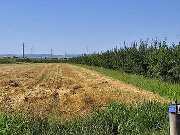 placevi na prodaju prokuplje: Na prodaju salaš – Rumski drum 69a, Sremska Mitrovica Na prodaju — 4