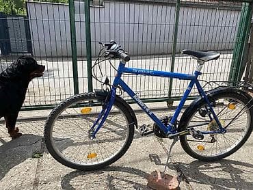 KonBIKE muški/uni treking/MTB bicikl, čelični ram TIG Oversize, plave