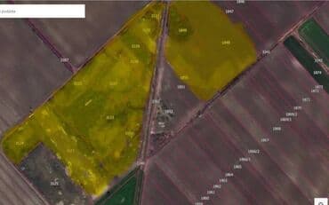 980 ares, Vlasnik — 1