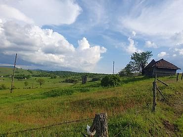 kovin prodaja kuca: Na prodaju 12 km od centra Zlatibora plac površine 40 ari sa drvenom — 6