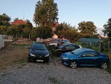 otkup polovnih guma: BRANIK ZA PEUGEOT 206 | Delovi Peugeot 206 i otkup vozila za delove — 4