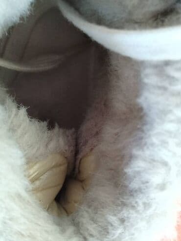 Čizme: 39, bоја - Šareno — 2