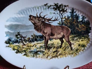 Kuhinjski setovi: Oval nov Bavaria Mittrteich porcelan iz 70ih. Nov-nigde — 5