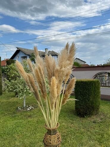 globus dekor: Bоја - Braon, Novo — 3