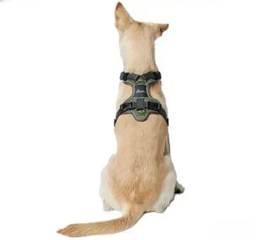 profesionalne cetke za pse: *** AKCIJA *** #2156 Kvalitetni am za pse DIVO DOG HARNESS - By — 7
