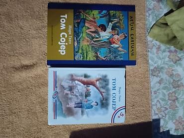 lektire za 2 razred: Tom Sojer – dve različite ilustrovane knjige Marka Tvena - Naslov — 1