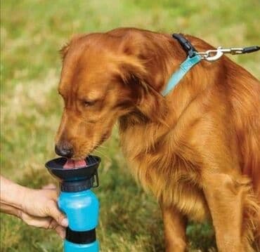kucice za pse sa grejanjem: CENA 1190 dinara Aqua Dog - Specijalna čaša za pse Aqua Dog Cup je — 4