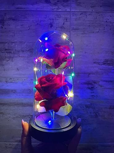 patike za tenis: Večna ruža u staklenom zvonu sa led lampicom Cena:1800din 🌹✨ ČAROBNA — 3