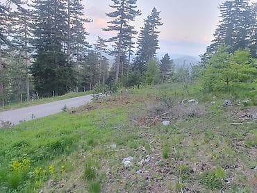 izdavanje soba ruma: Na prodaju plac 11.3 ari na Zlatiboru pored asfaltnog puta udaljenosti — 3