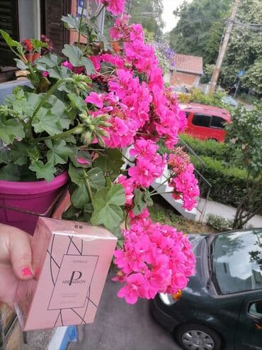 muške cipele za zimu: Ženski parfem, Farmasi, Original — 3