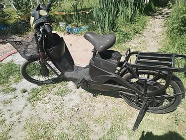 zadnji amortizeri za punta cena: Električni skuter – kargo/utility tip - Boja: crna, niskog rama za — 7