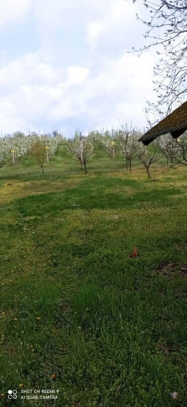 izdavanje kuca smederevo: 120 sq. m, 3 bedroom — 18