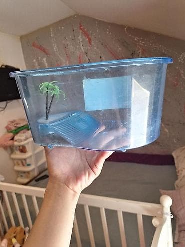 patofne za pse: Plastična posuda za kornjače – Nobleza “Turtle Case” malo korisceno - — 2
