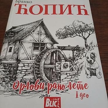 Mini knjiga orlovi rano lete branko copic