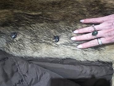 bunda nerc cena: L, Sa postavom, bоја - Bež — 5