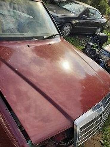 semering cena za audi a4 b8: HAUBA MERCEDES W124 | Perfektna — 1