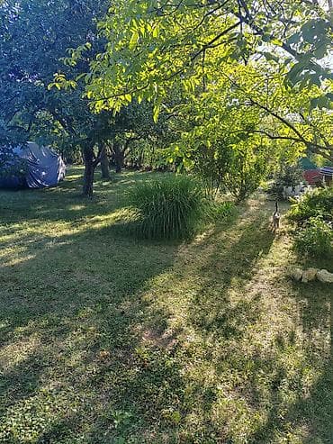 kuće čačak: Porodična kuća sa prostranim dvorištem i zelenilom - Samostalna kuća — 4