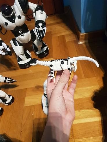 toy poodle serbia: Pametni roboti(robosapiens) rade, u odlicnom su stanju. Fale im — 3