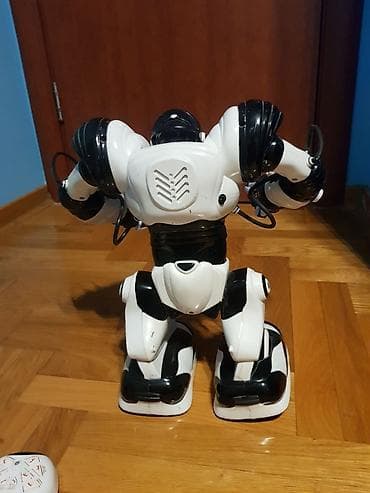 toy poodle serbia: Pametni roboti(robosapiens) rade, u odlicnom su stanju. Fale im — 4