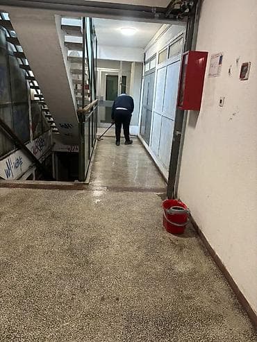 obuka za tetoviranje: Profesionalne usluge čišćenja i mašinskog pranja podova - — 1