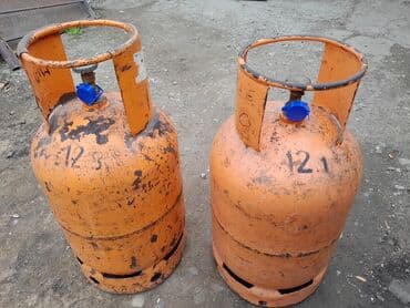 trimer stihl fs 55 cena: Gas cylinder — 4