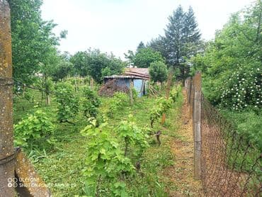 dobos kuce golubinci: 18 sq. m, 2 bedroom — 27