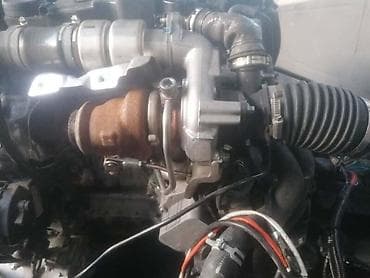 ford eskot: MOTOR 1.6 TDCI ZA FORD FIESTA OD 2013. DO 2016. GOD. | SMEDEREVSKA — 2