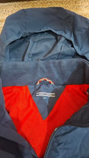 tommy hilfiger d: Transitional jacket, Tommy Hilfiger, color - Multicolored — 2