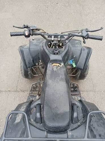Motocikli i skuteri: Kvad motocikl – sportski/off-road četvorotočkaš - Motor — 5
