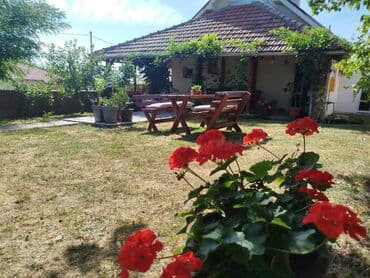 dobos kuce golubinci: 80 sq. m, 2 bedroom — 1