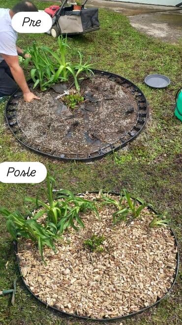 zvjezdano nebo u autu: Horticool nudi širok spektar usluga za uređenje i održavanje dvorišta — 9